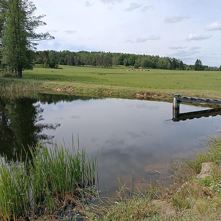 Vila Klidna Lokalita Na Kraji Lesa, Cely Dum S Uschovnu Kol Nová Bystřice Exteriér fotografie