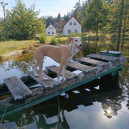 Vila Klidna Lokalita Na Kraji Lesa, Cely Dum S Uschovnu Kol Nová Bystřice Exteriér fotografie