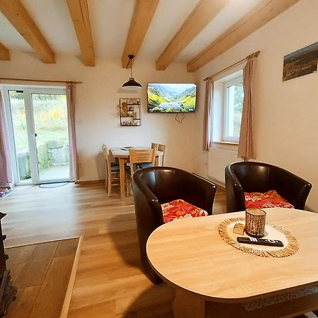 Vila Klidna Lokalita Na Kraji Lesa, Cely Dum S Uschovnu Kol Nová Bystřice Exteriér fotografie