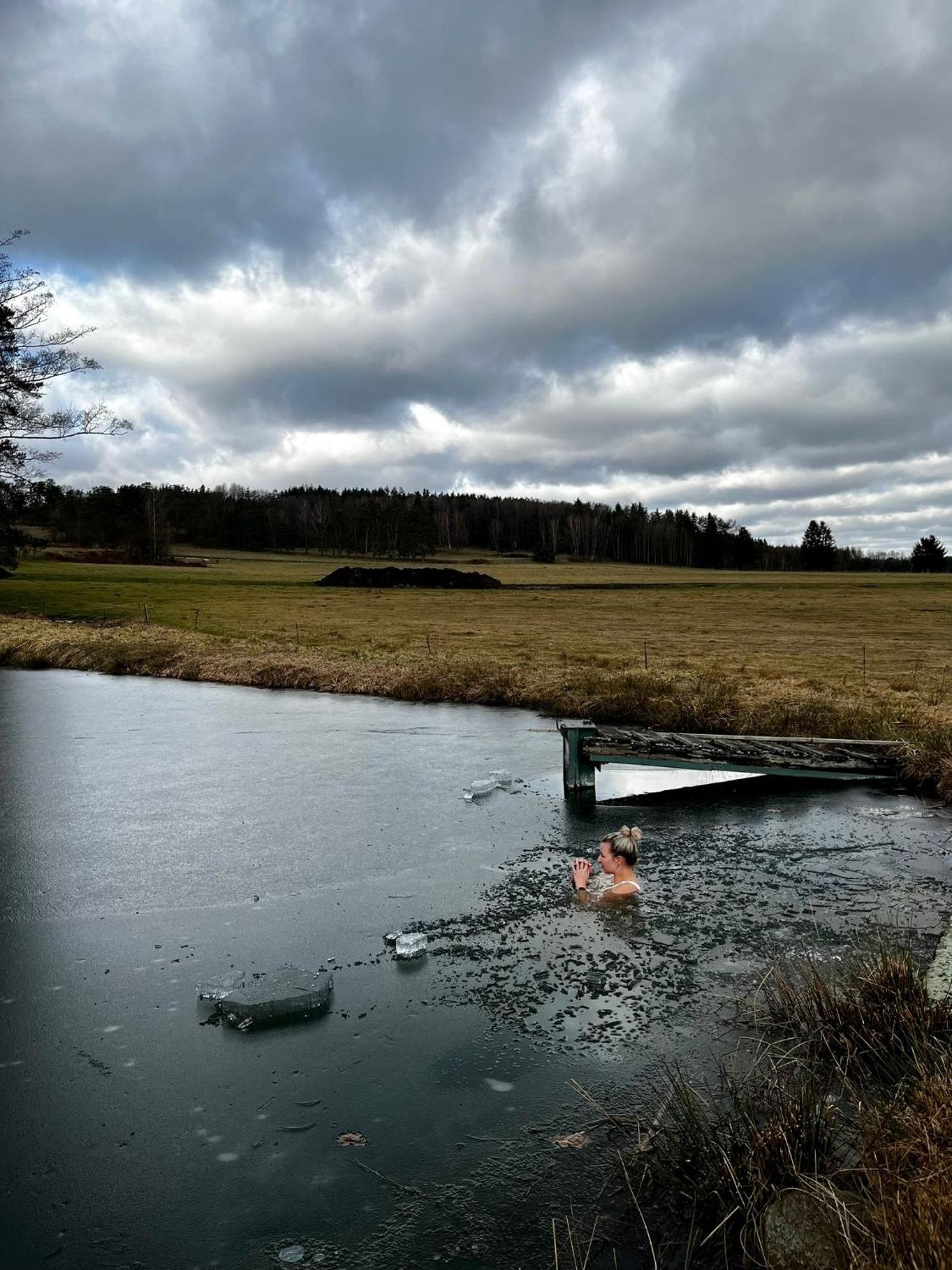 Vila Klidna Lokalita Na Kraji Lesa, Cely Dum S Uschovnu Kol Nová Bystřice Exteriér fotografie