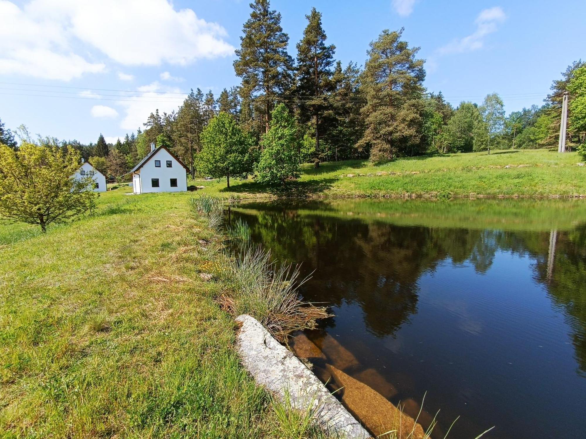 Vila Klidna Lokalita Na Kraji Lesa, Cely Dum S Uschovnu Kol Nová Bystřice Exteriér fotografie