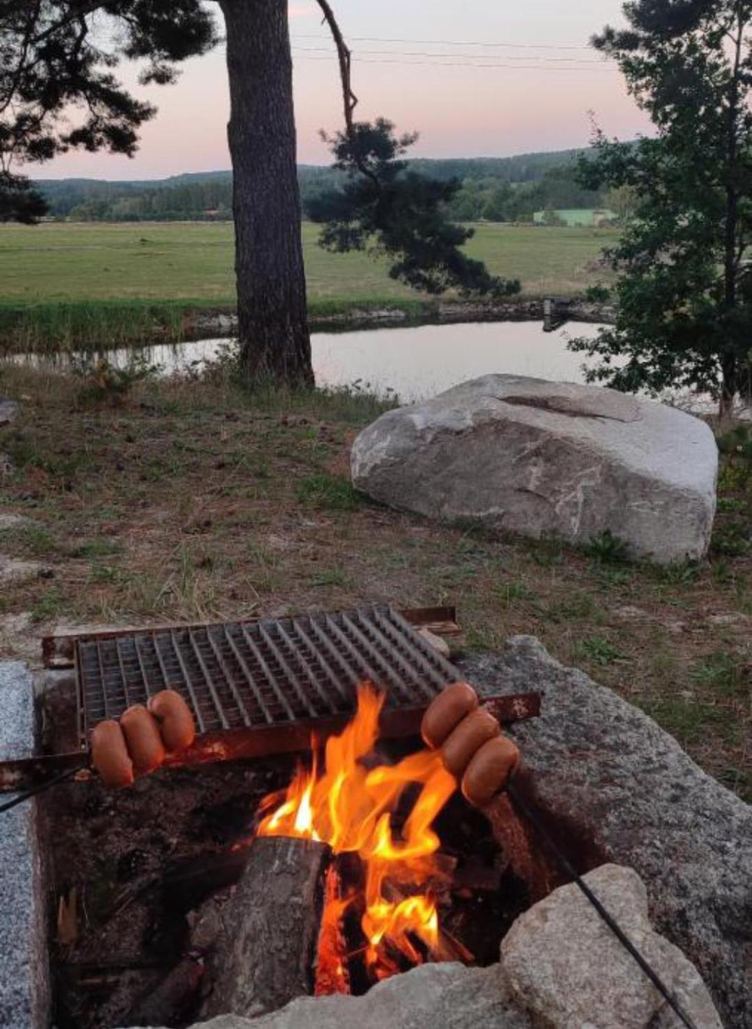 Vila Klidna Lokalita Na Kraji Lesa, Cely Dum S Uschovnu Kol Nová Bystřice Exteriér fotografie
