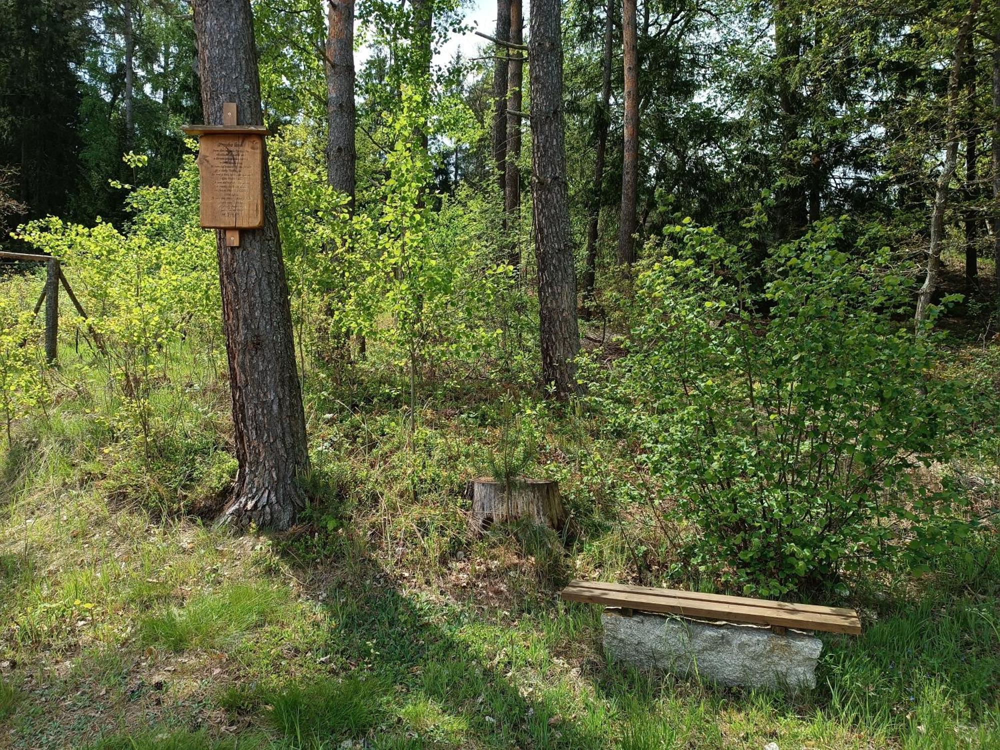 Vila Klidna Lokalita Na Kraji Lesa, Cely Dum S Uschovnu Kol Nová Bystřice Exteriér fotografie