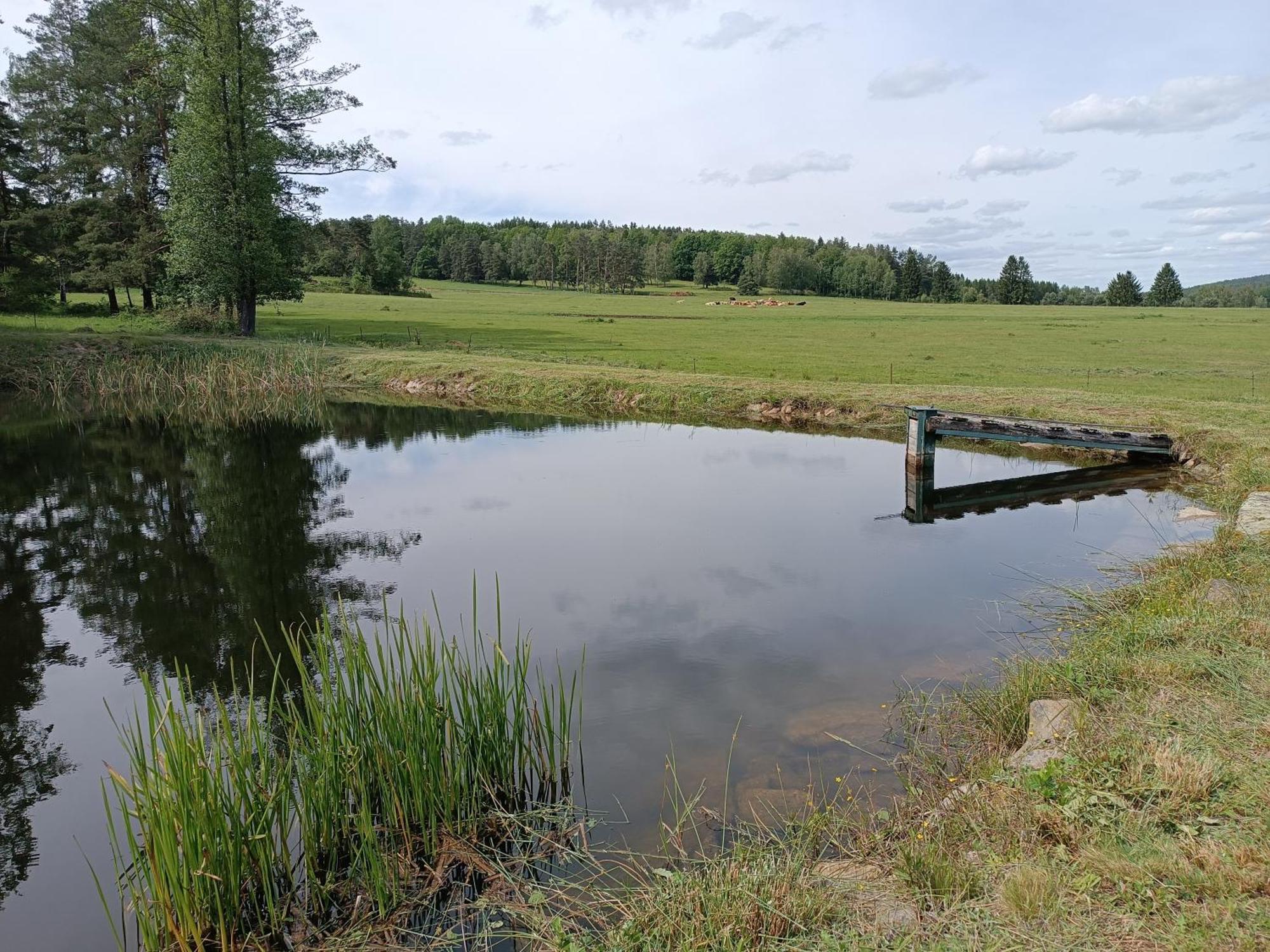 Vila Klidna Lokalita Na Kraji Lesa, Cely Dum S Uschovnu Kol Nová Bystřice Exteriér fotografie