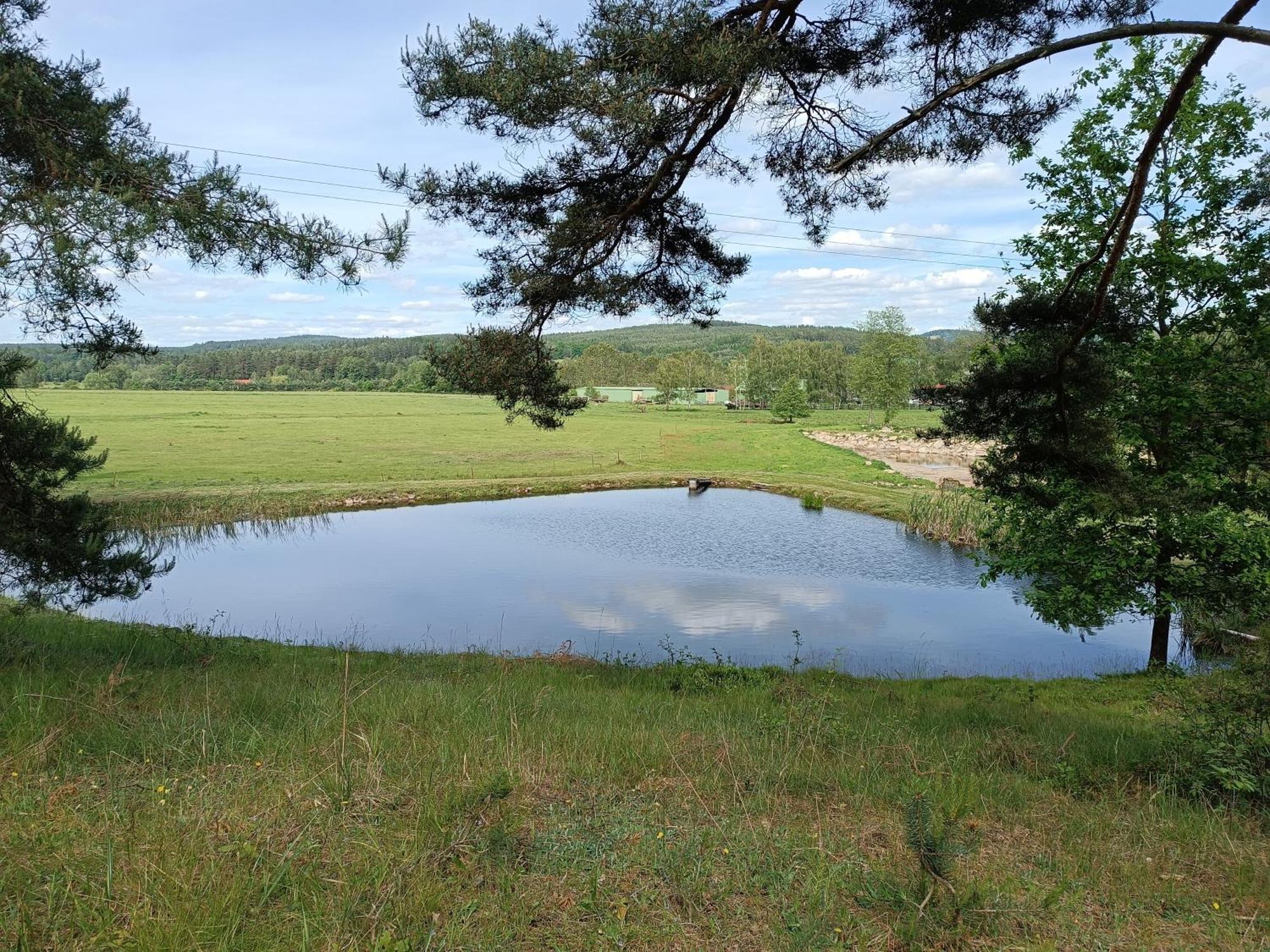 Vila Klidna Lokalita Na Kraji Lesa, Cely Dum S Uschovnu Kol Nová Bystřice Exteriér fotografie