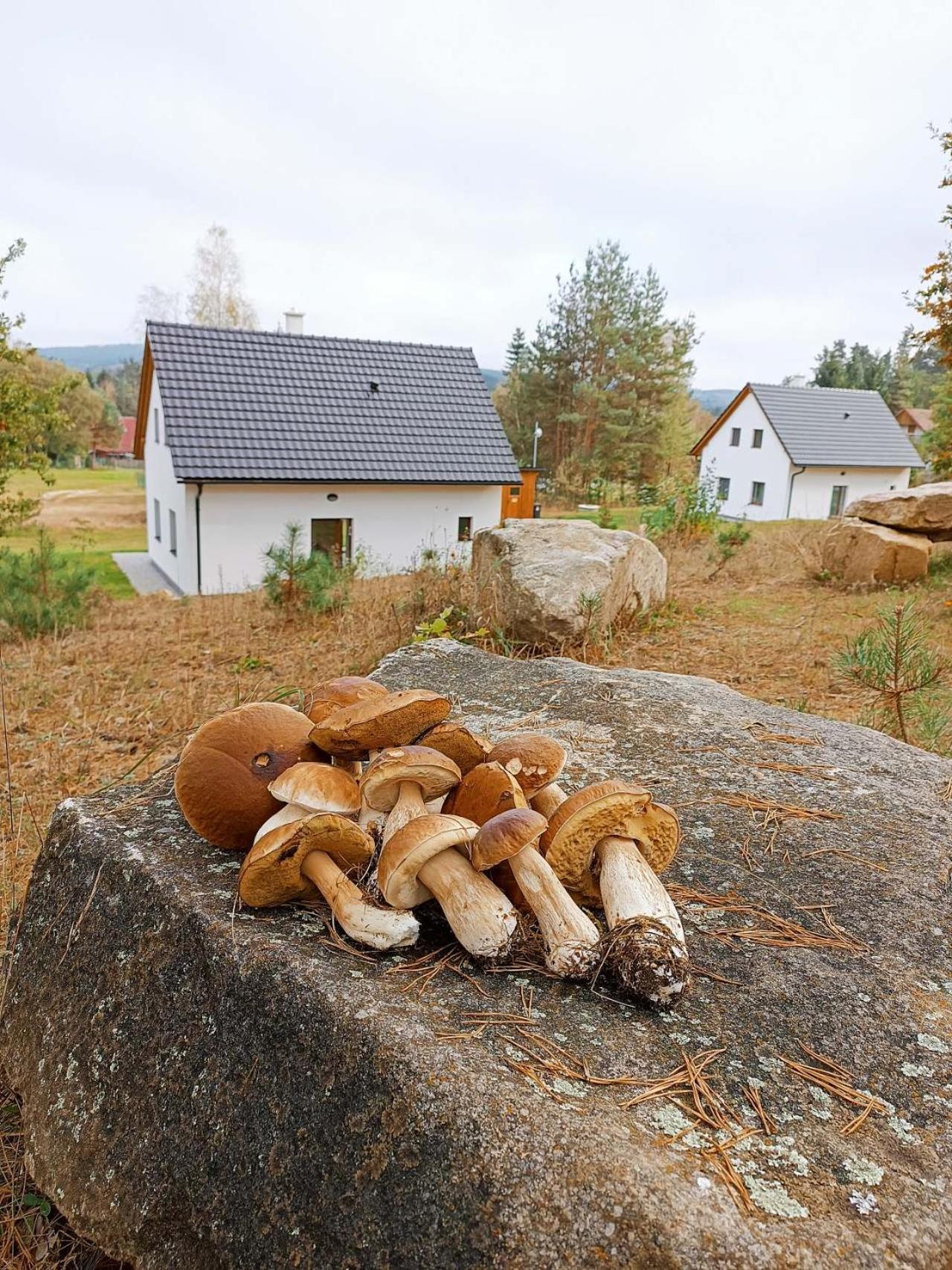 Vila Klidna Lokalita Na Kraji Lesa, Cely Dum S Uschovnu Kol Nová Bystřice Exteriér fotografie